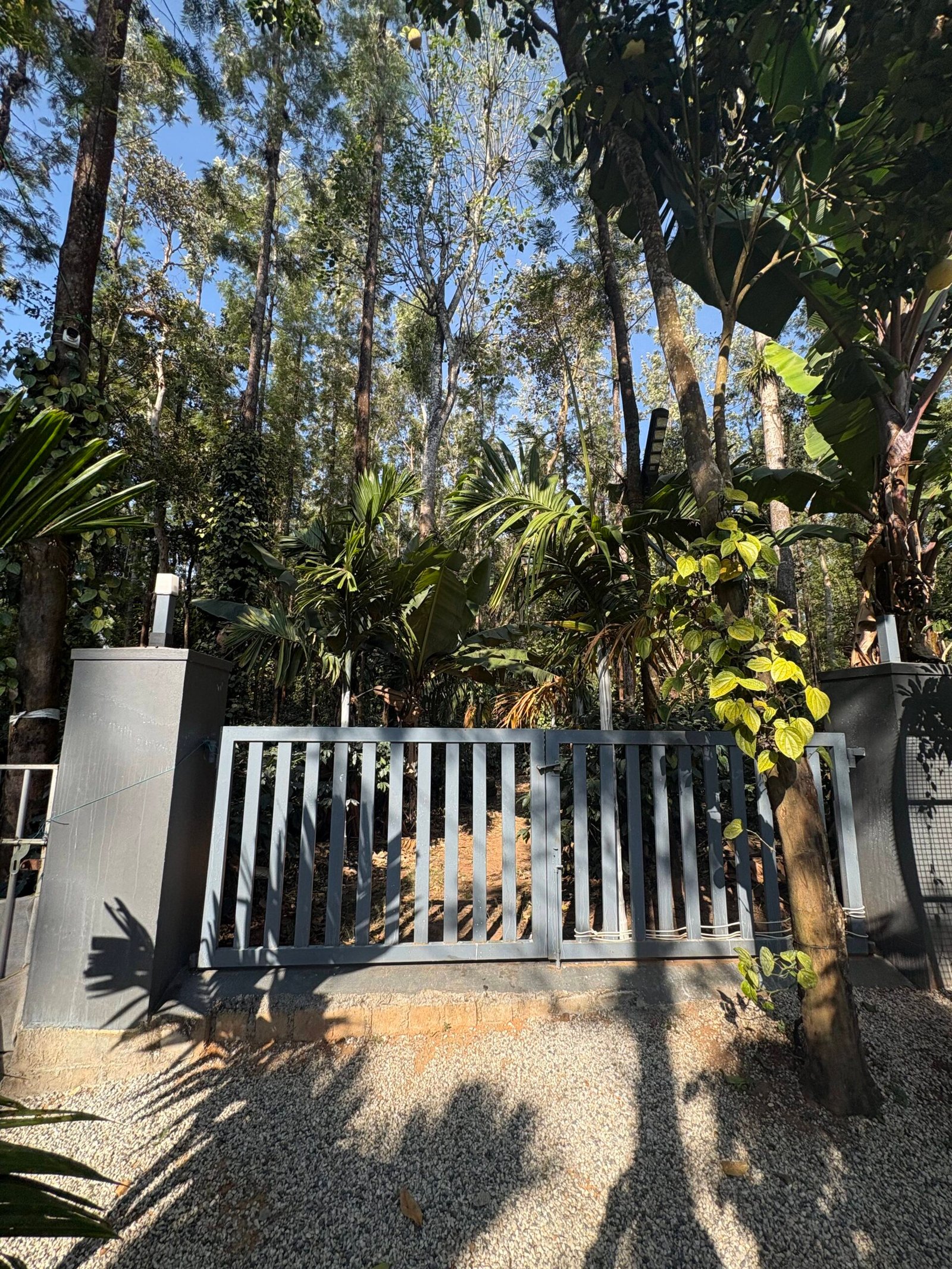 Plantation entry gate